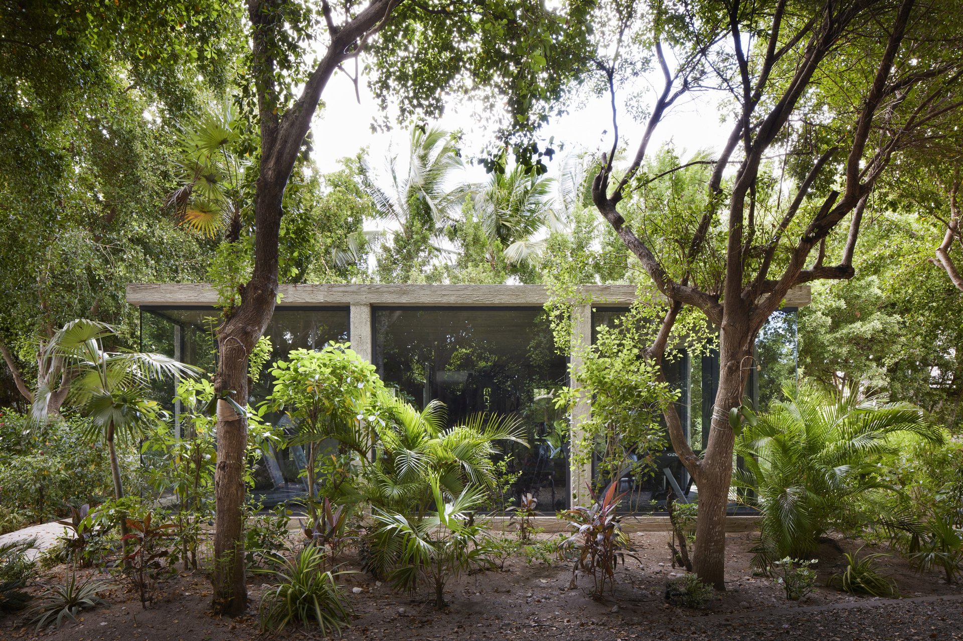 Jungle Gym